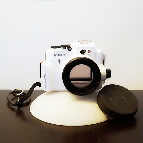 Custodia subacquea nikon - subacquea,
